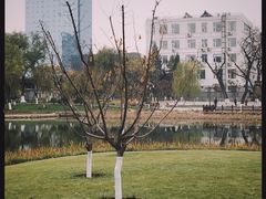 -西海子公园