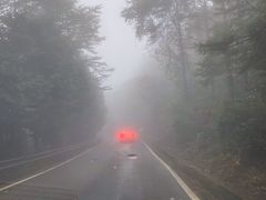 -四明山国家森林公园