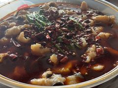 -都江堰石锅鱼