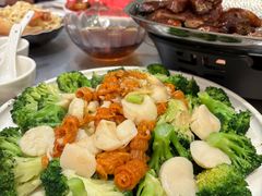 -海港酒家(上水新丰店)