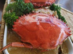 -茉莉.Red Crab
