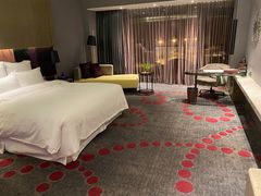 -南京禄口机场雅高铂尔曼大酒店