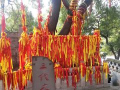 -大槐树寻根祭祖园