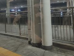 -商丘站
