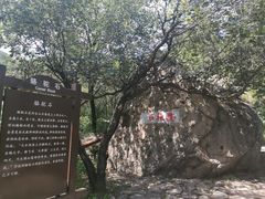 -阳台山自然风景区