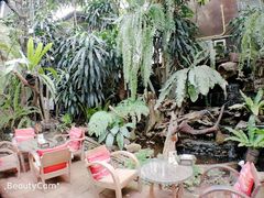 -Fern Forest Cafe
