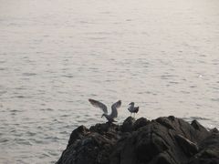 android_upload_pic-大鹿岛