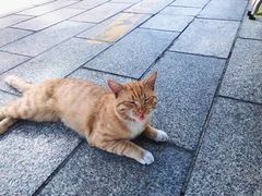 -中华人民共和国水准零点