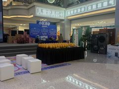 -红星美凯龙北京至尊MALL(东四环中路店)