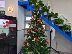 点击看大图 -痘瑞仕·专业祛痘国际连锁