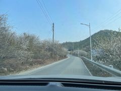 -广州市流溪河国家森林公园