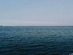 -碧海金沙