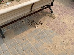 -东戴河风景区-止锚湾