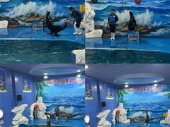 -左海海底世界