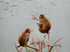 -白帝城·瞿塘峡景区