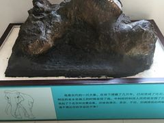 -北京周口店北京人遗址博物馆