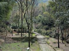-仙霞关景区