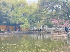 -西园戒幢律寺