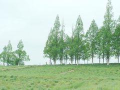 -良渚古城遗址公园
