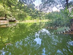 -小洲村