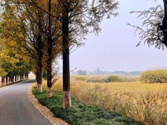 -良渚古城遗址公园
