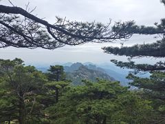 -黄山风景区