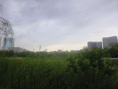 -西海子公园