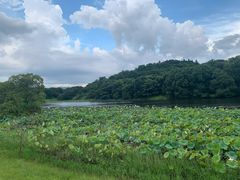 -福建鲤鱼洲酒店