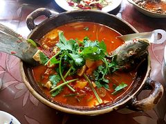 砂锅酸辣弓鱼-苍洱春饭店