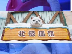 -海合安成都极地海洋公园