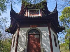 -上海佘山国家森林公园天马山园