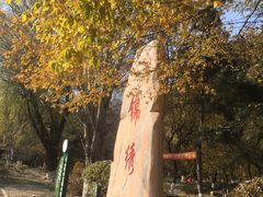 -锦绣公园