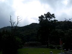 -灵光寺