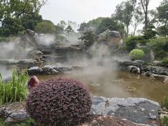 -东莞植物园