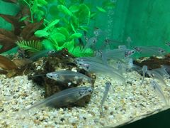 -常州海昌海洋探索馆