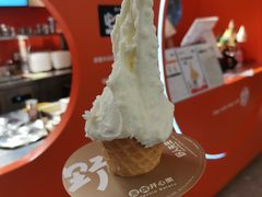 -野人先生现做冰淇淋(北京悠唐购物中心店)