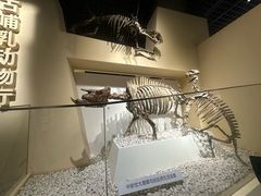 -国家自然博物馆