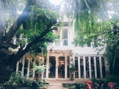 -Fern Forest Cafe