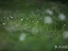 -三水森林公园