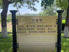 -龙谕酒庄