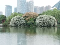 -天鹅湖体育公园