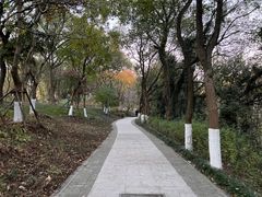 -上海市保健医疗中心