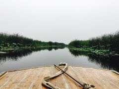 -白洋淀景区