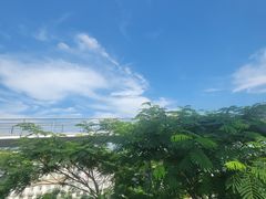 -仙岳公园