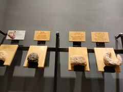 -面包谷Grains n' Beans(九号公馆店)