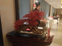 -顺峰(农展馆店)