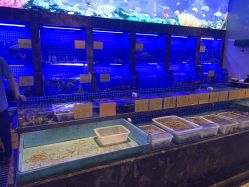 -东庭海鲜酒店(世茂广场店)