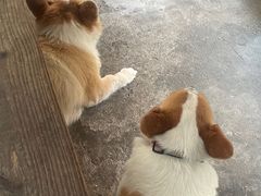 -茶米人台湾料理·精致快简餐