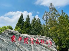 -东平国家森林公园