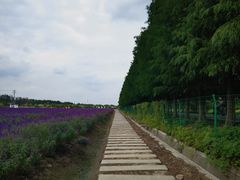 -嘉北郊野公园